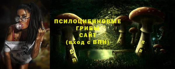 гидра Абинск